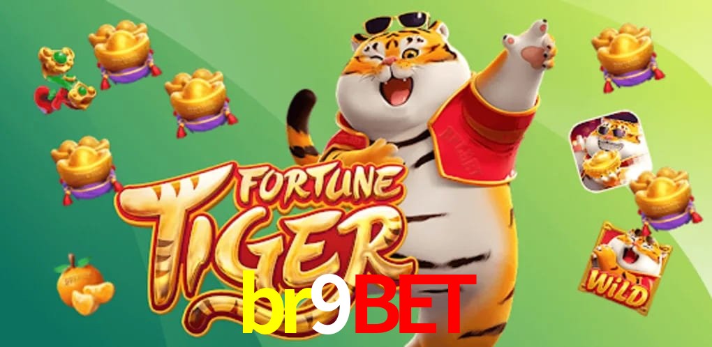 Experiência VIP br9bet